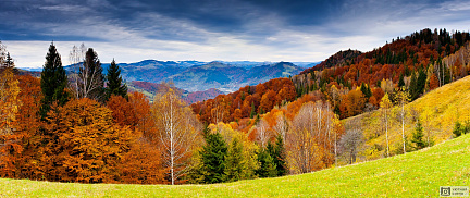 Фотообои Осенний лес и горы