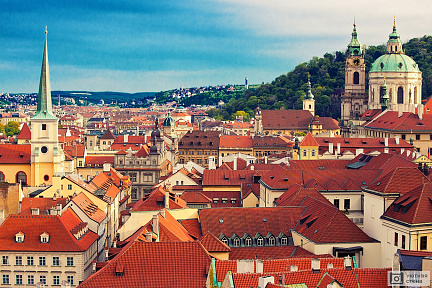 Красные крыши домов Праги. Чехия