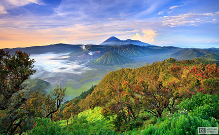 Фотообои Вершина вулкана Бромо, Ява, Индонезия