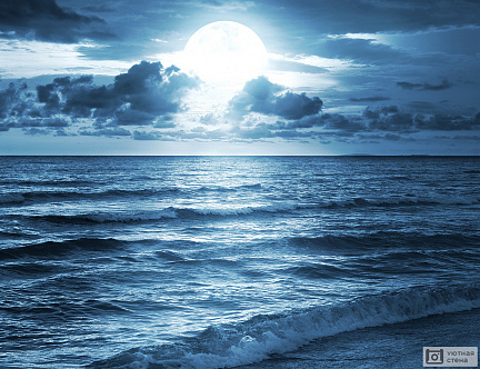 Море в лунном освещении