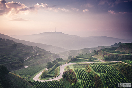 Фотообои Потрясающий вид на холмы и виноградники в Германии