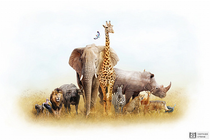 Фотообои Многообразие животных Африки